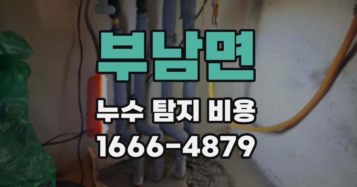 부남면 누수 탐지 비용