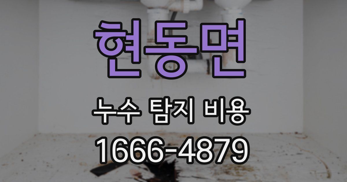 현동면 누수 탐지 비용