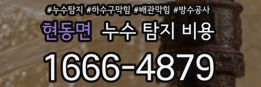 현동면 누수 탐지 비용