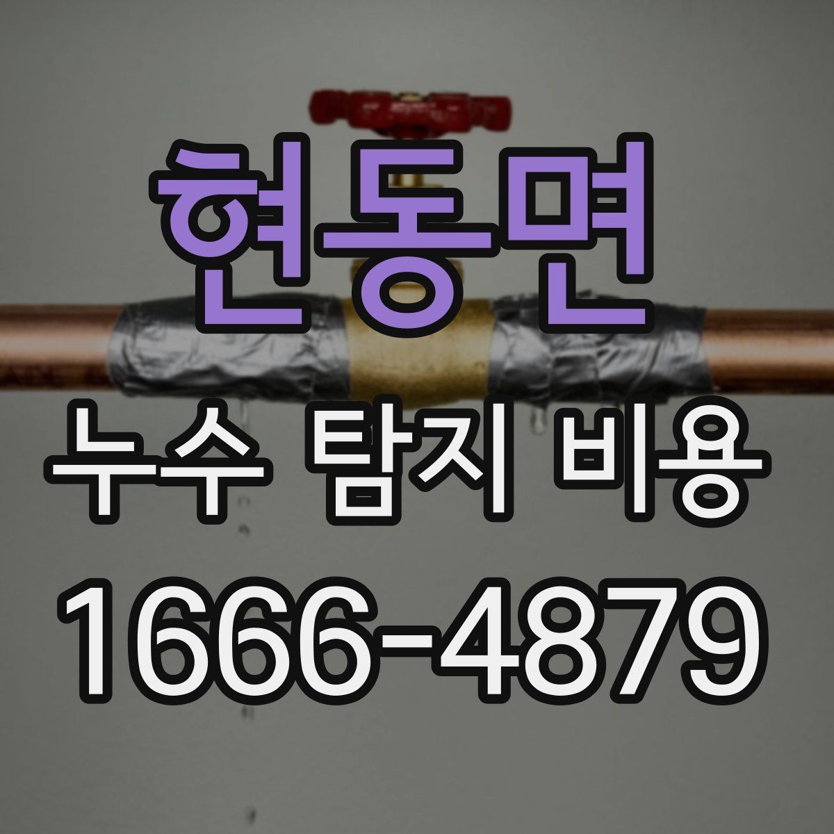 현동면 누수 탐지 비용