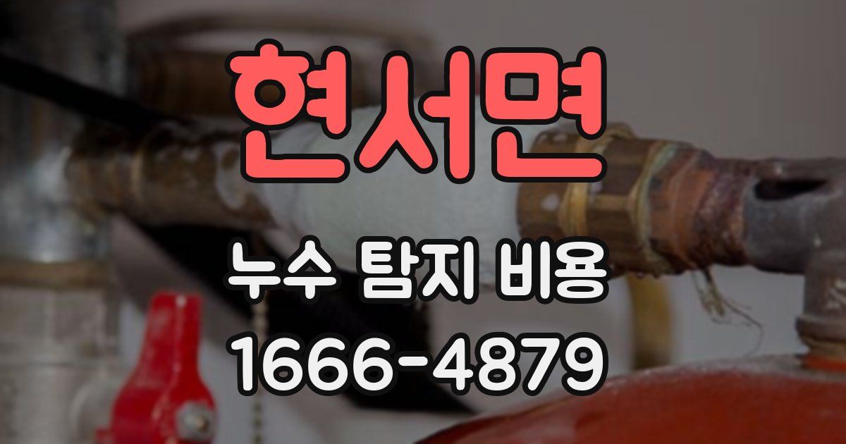 현서면 누수 탐지 비용