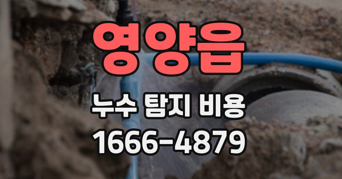 영양읍 누수 탐지 비용
