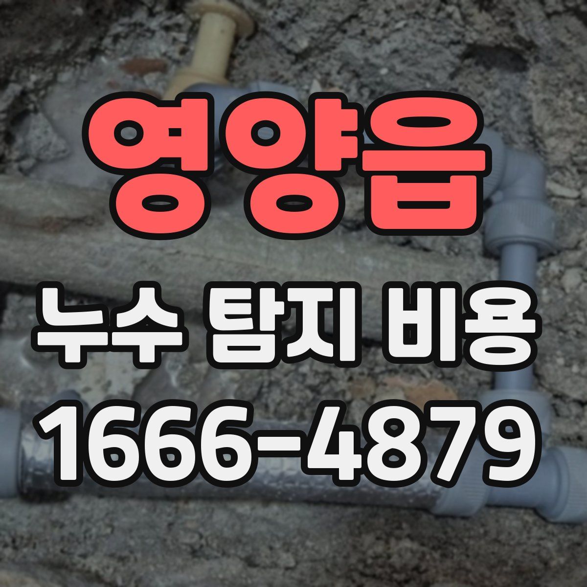 영양읍 누수 탐지 비용