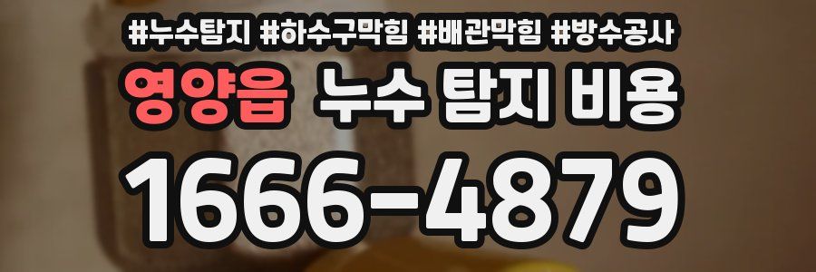 영양읍 누수 탐지 비용