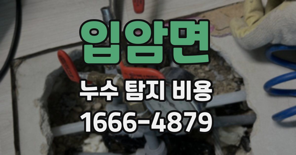입암면 누수 탐지 비용