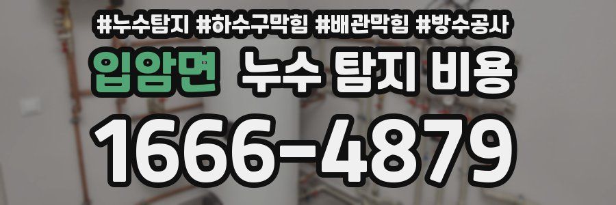 입암면 누수 탐지 비용