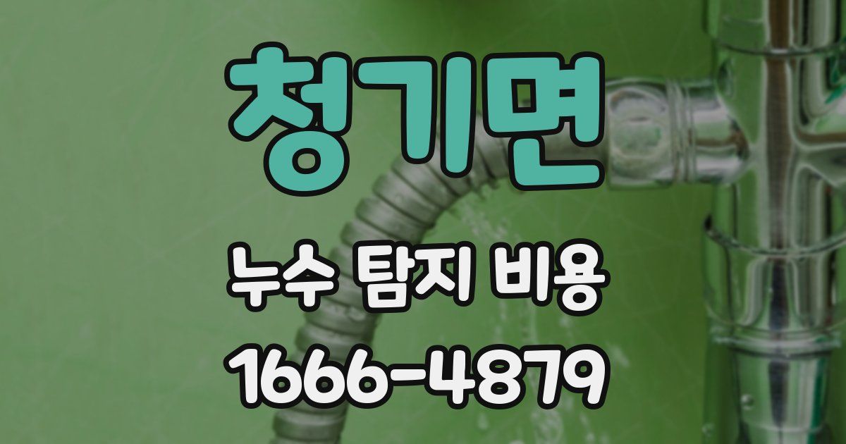 청기면 누수 탐지 비용