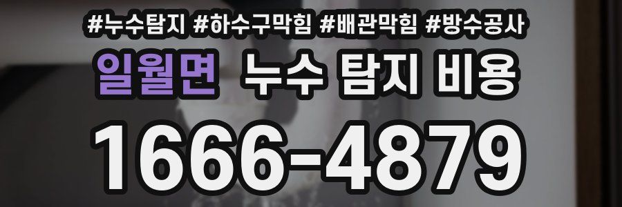 일월면 누수 탐지 비용