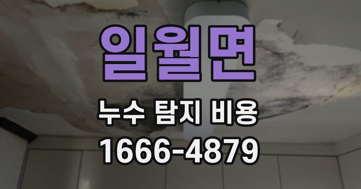 일월면 누수 탐지 비용