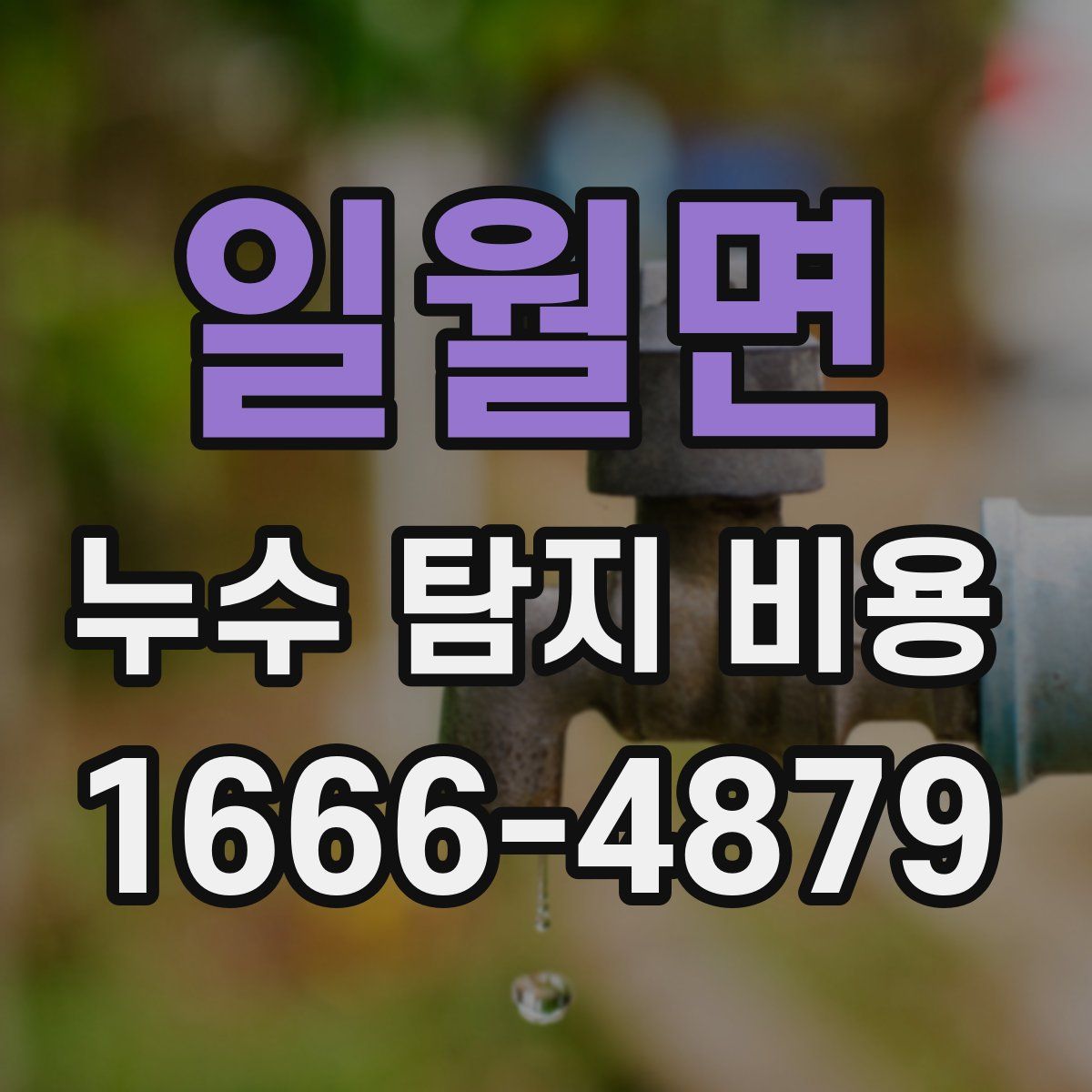 일월면 누수 탐지 비용