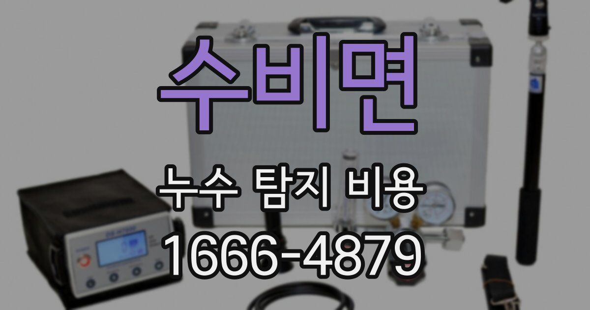 수비면 누수 탐지 비용