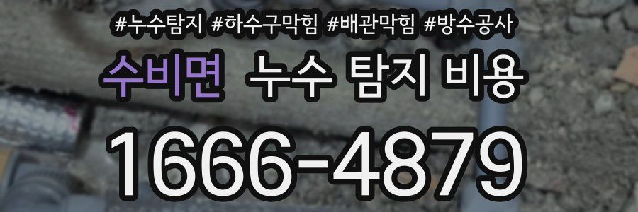 수비면 누수 탐지 비용
