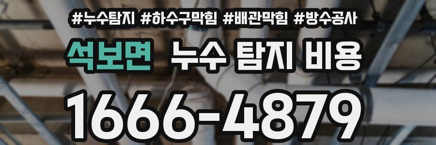 석보면 누수 탐지 비용