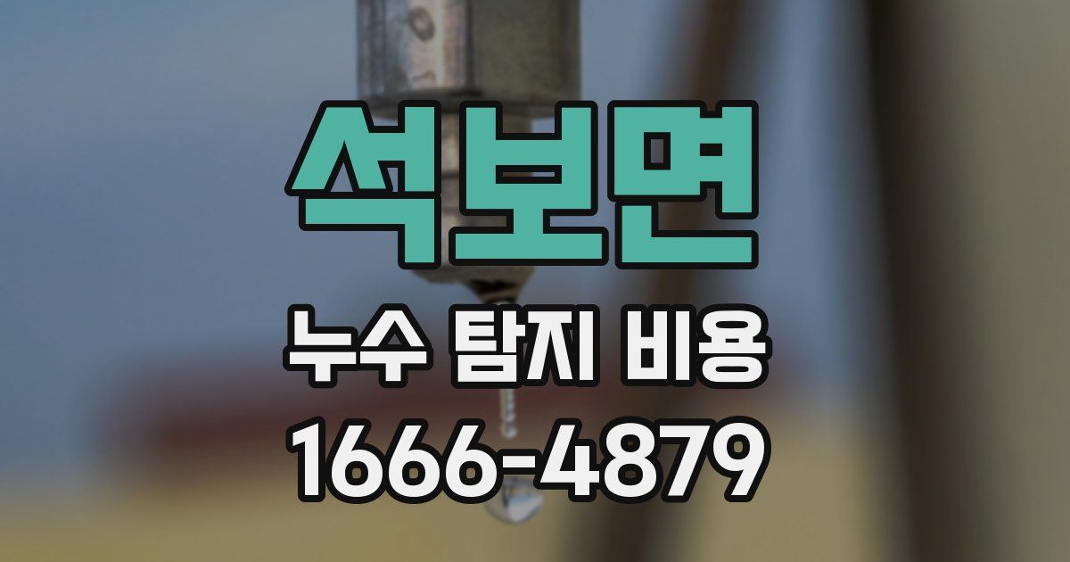 석보면 누수 탐지 비용