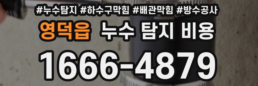 영덕읍 누수 탐지 비용