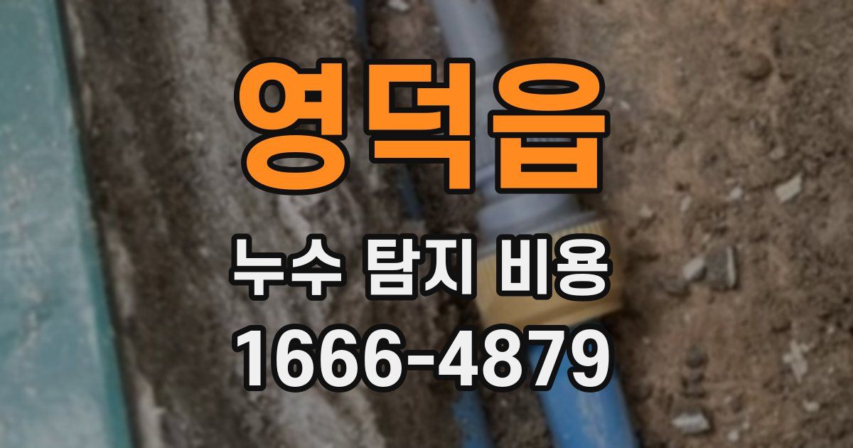 영덕읍 누수 탐지 비용