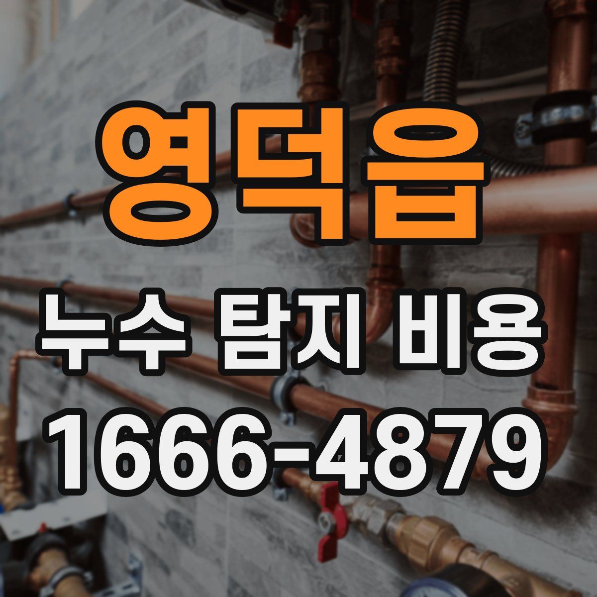 영덕읍 누수 탐지 비용