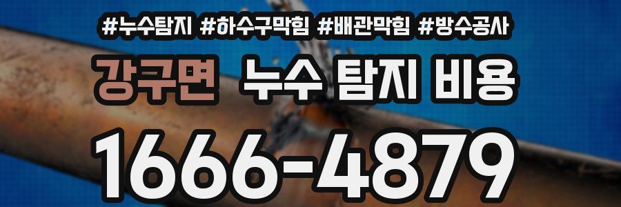강구면 누수 탐지 비용