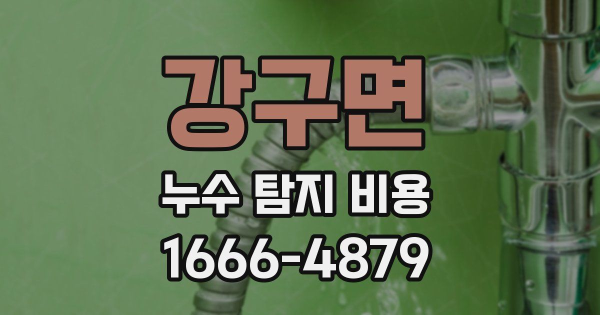 강구면 누수 탐지 비용