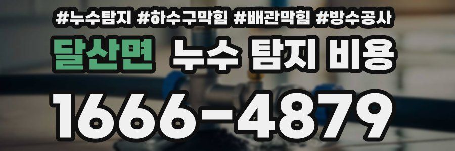 달산면 누수 탐지 비용