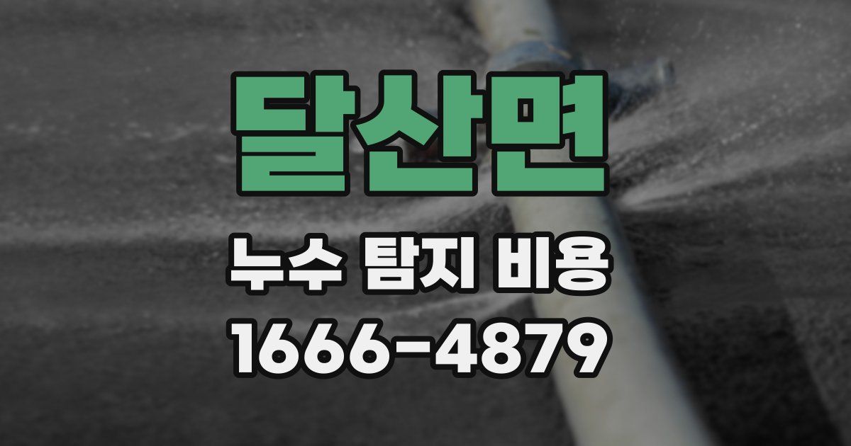 달산면 누수 탐지 비용