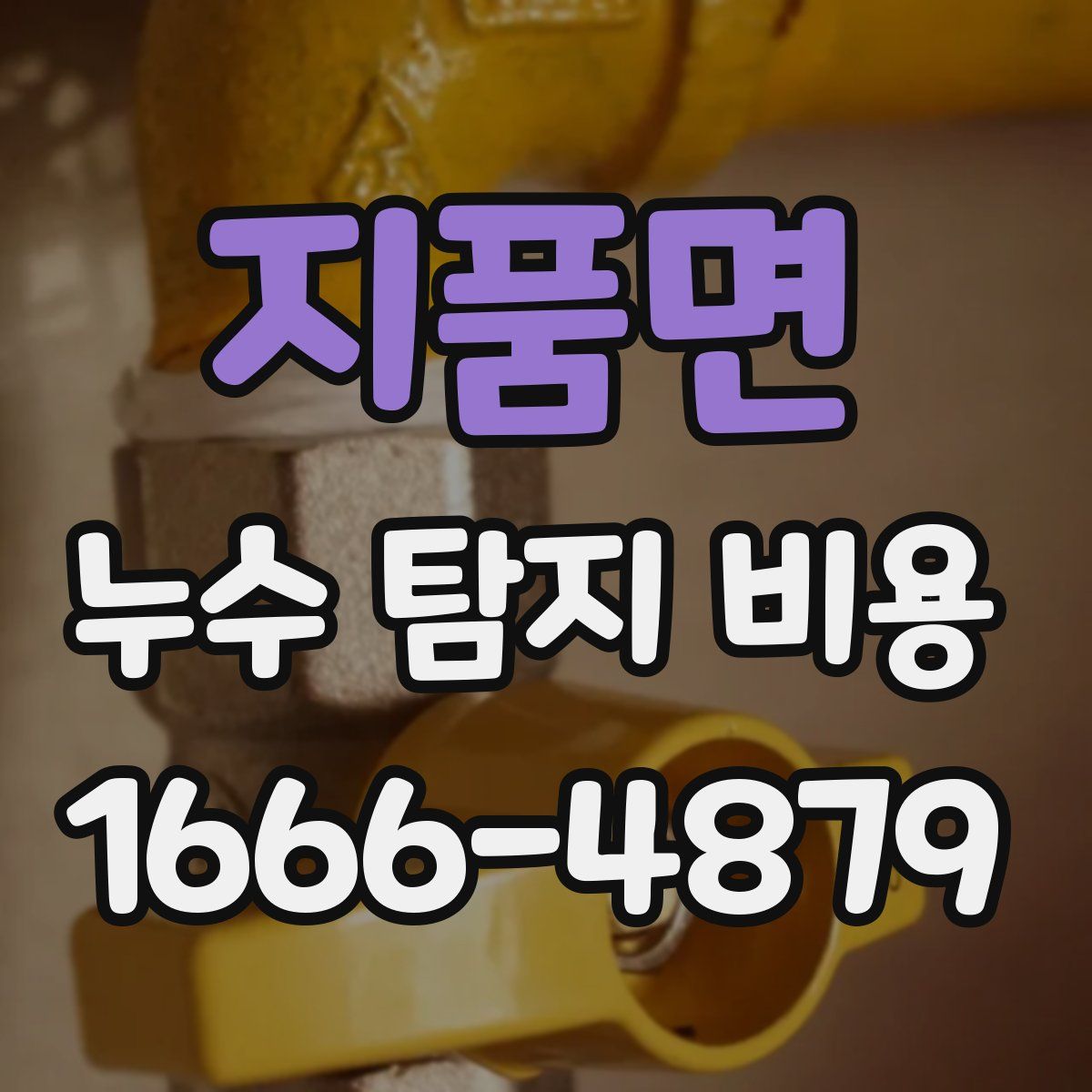 지품면 누수 탐지 비용