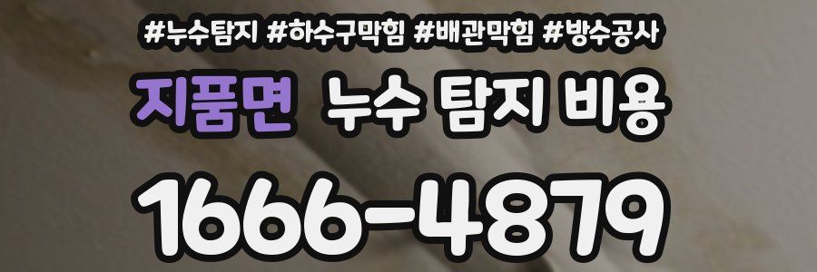 지품면 누수 탐지 비용