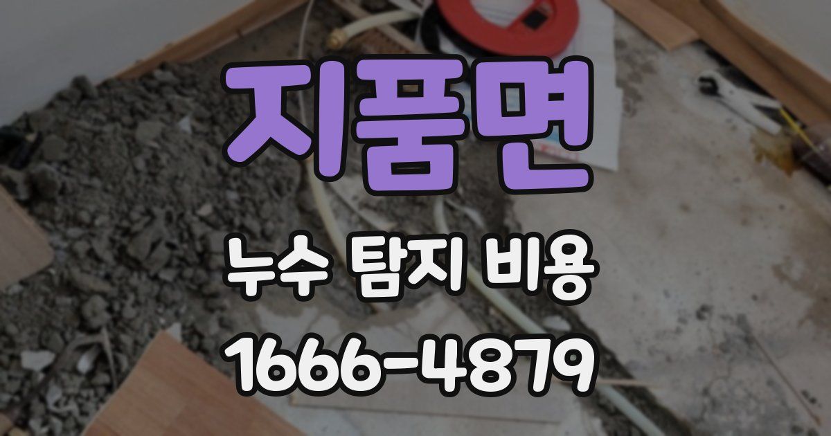 지품면 누수 탐지 비용