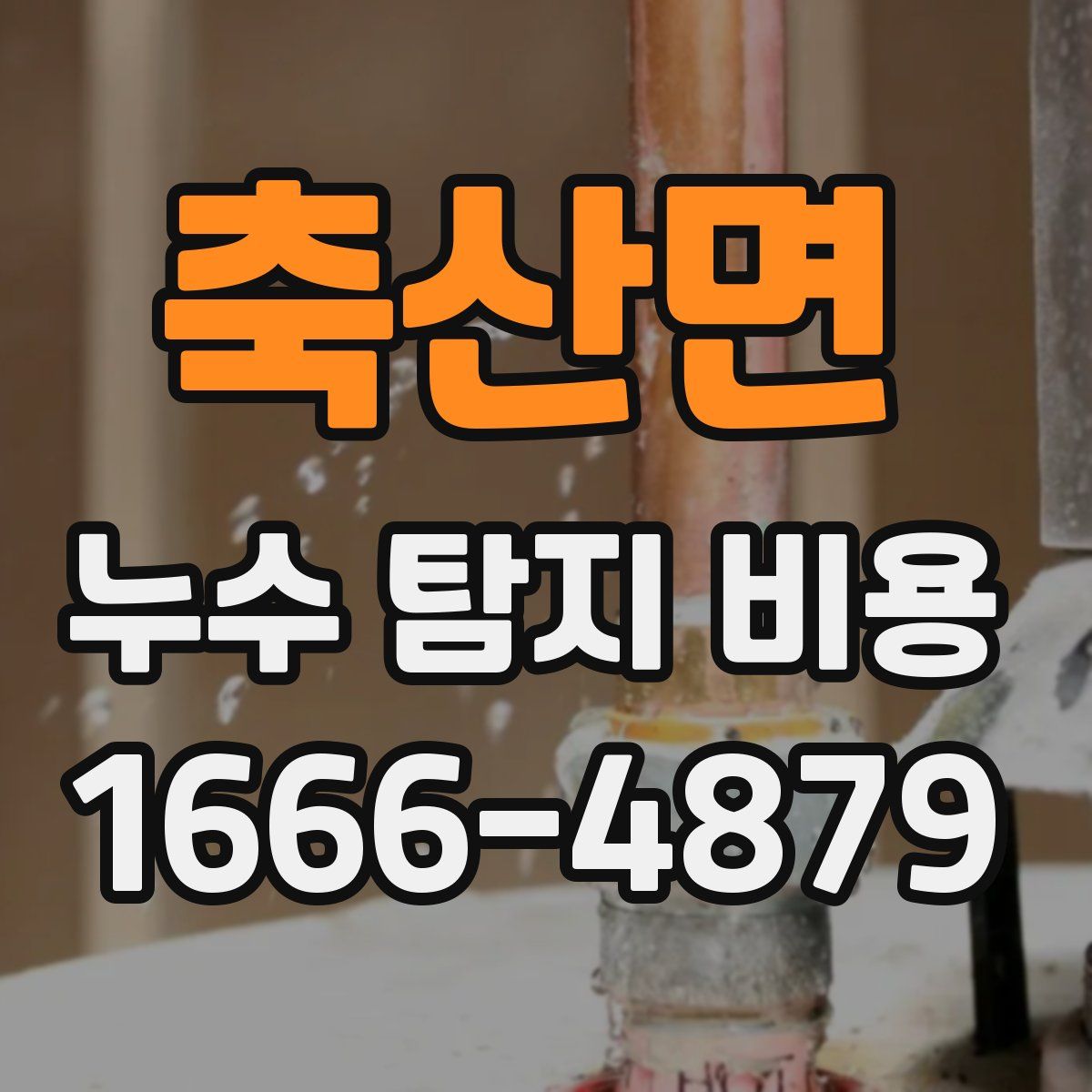 축산면 누수 탐지 비용