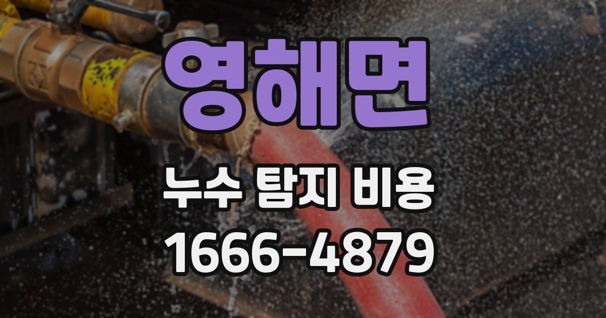 영해면 누수 탐지 비용