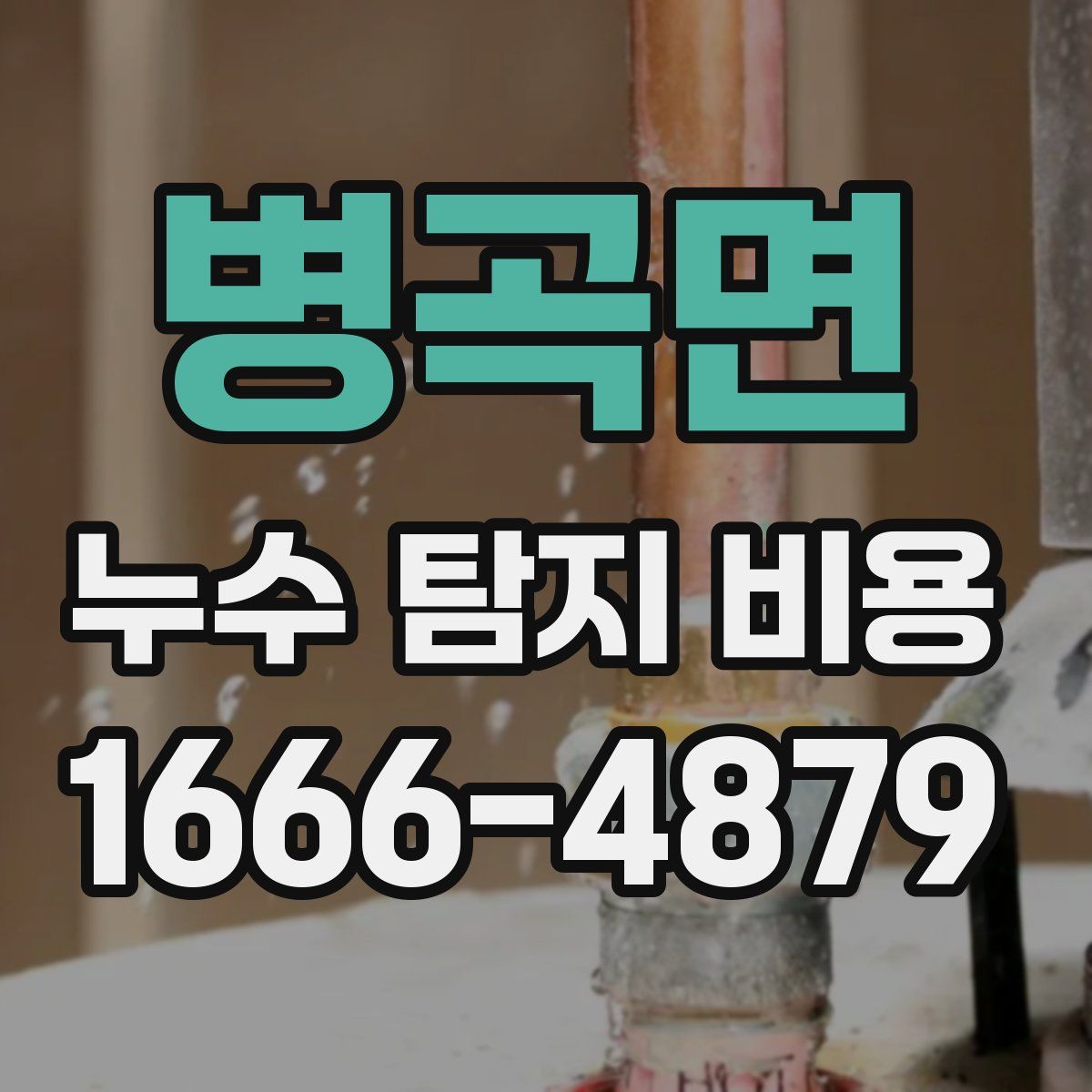 병곡면 누수 탐지 비용
