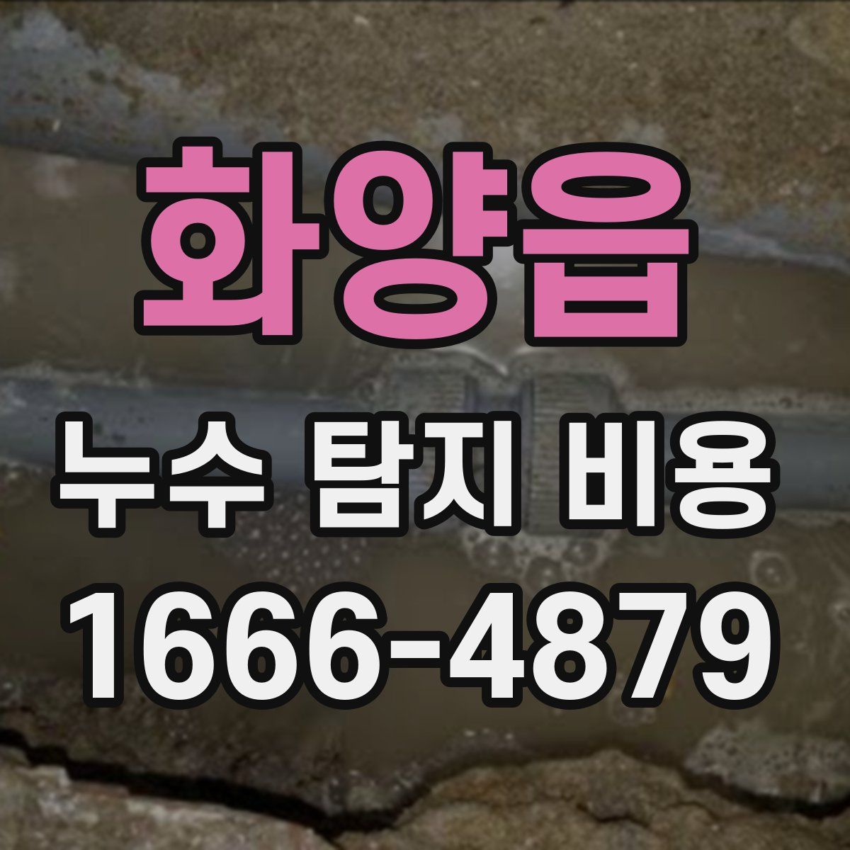 화양읍 누수 탐지 비용