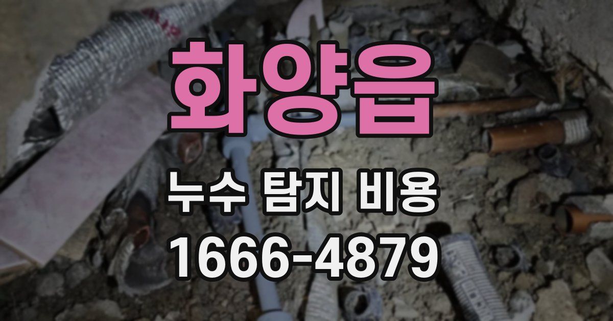 화양읍 누수 탐지 비용