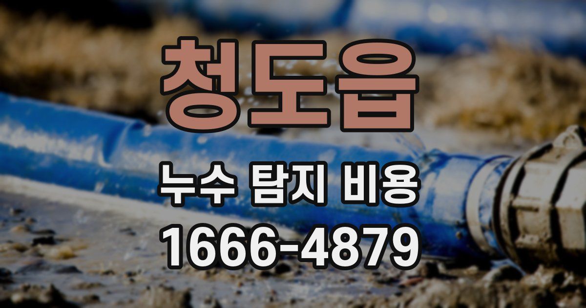 청도읍 누수 탐지 비용