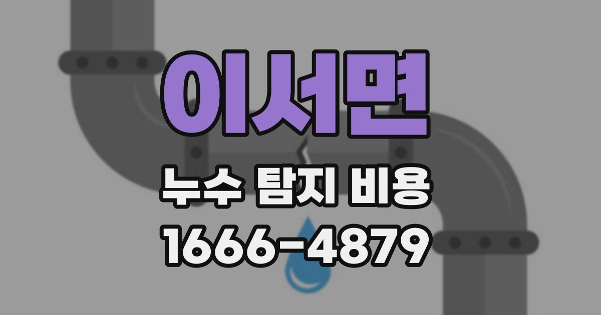 이서면 누수 탐지 비용