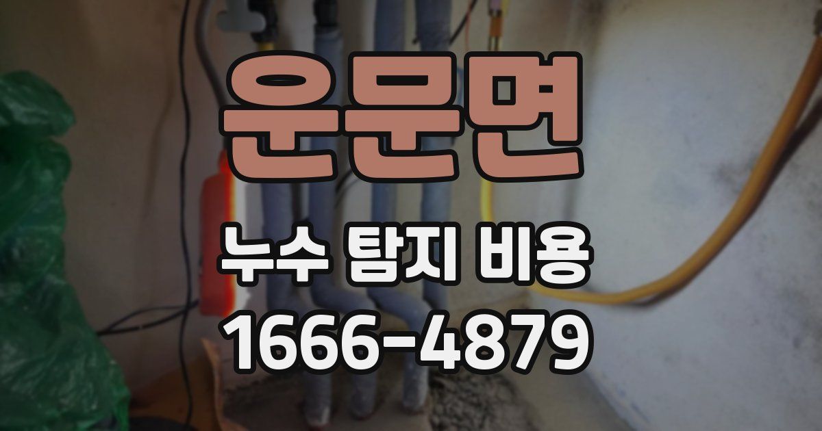 운문면 누수 탐지 비용