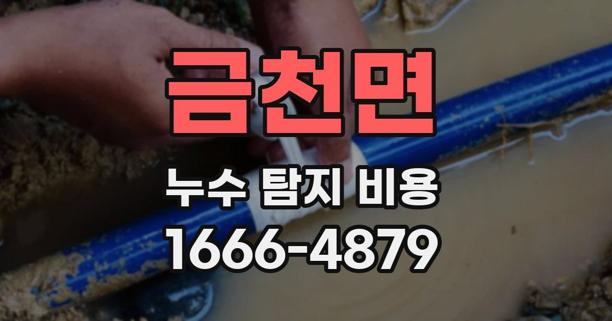 금천면 누수 탐지 비용