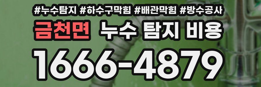 금천면 누수 탐지 비용