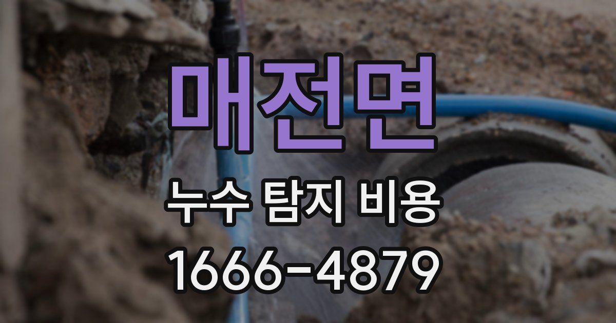 매전면 누수 탐지 비용