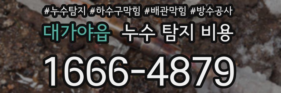 대가야읍 누수 탐지 비용