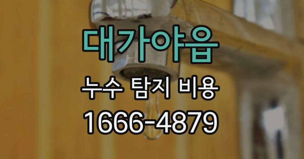 대가야읍 누수 탐지 비용