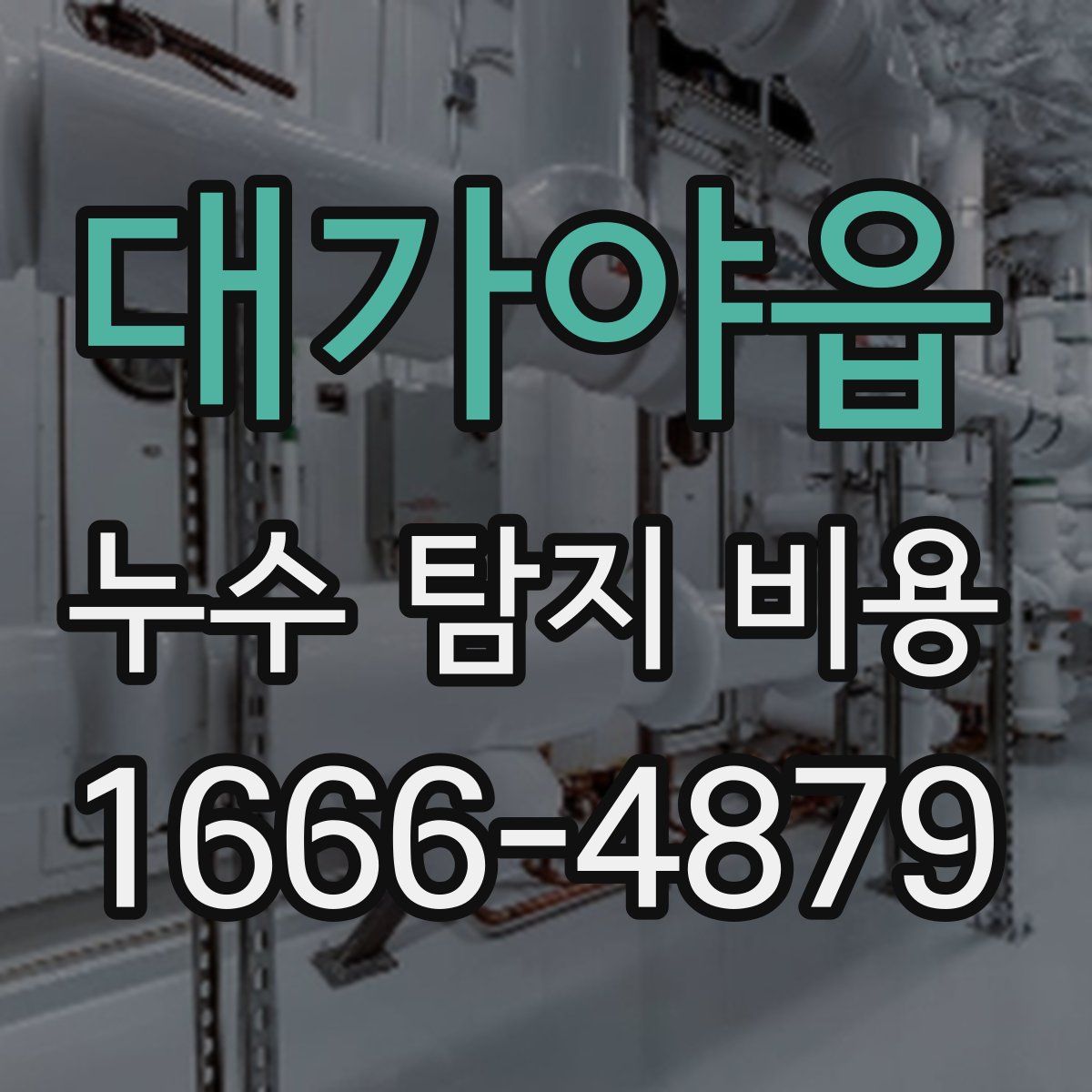 대가야읍 누수 탐지 비용