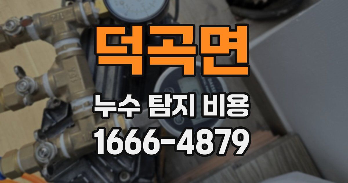 덕곡면 누수 탐지 비용