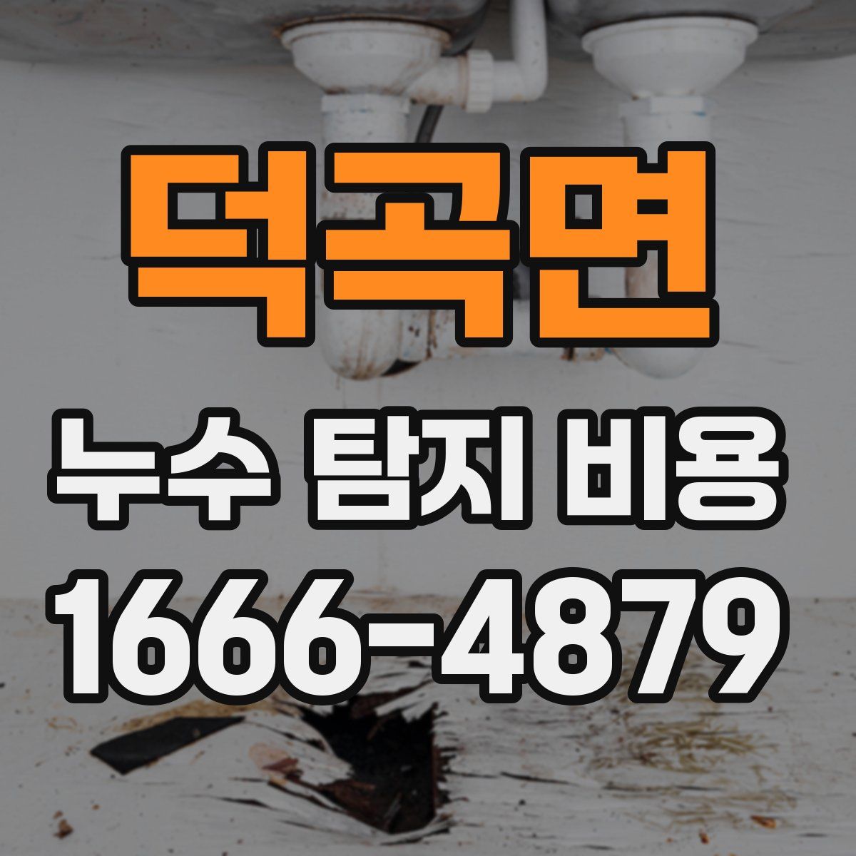 덕곡면 누수 탐지 비용