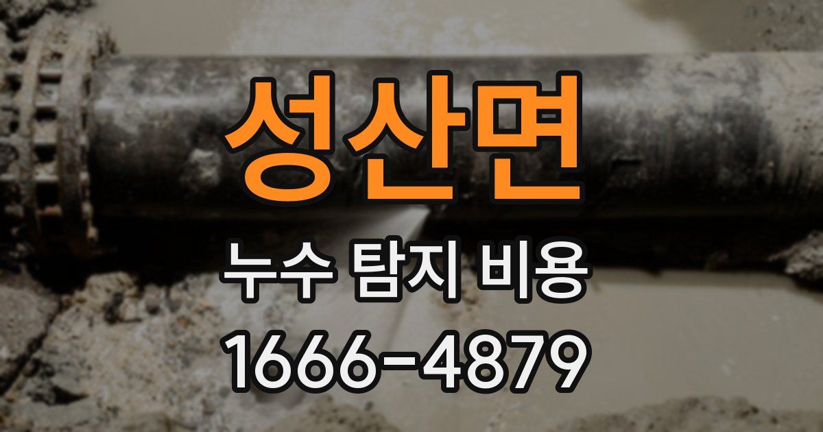 성산면 누수 탐지 비용