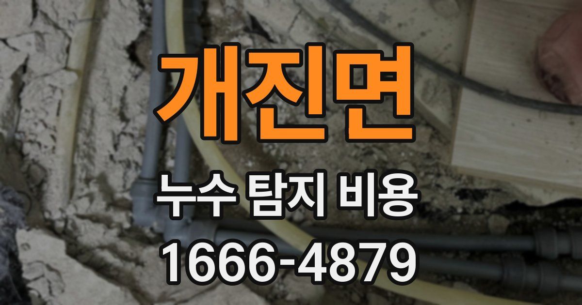 개진면 누수 탐지 비용