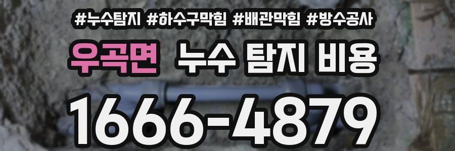 우곡면 누수 탐지 비용