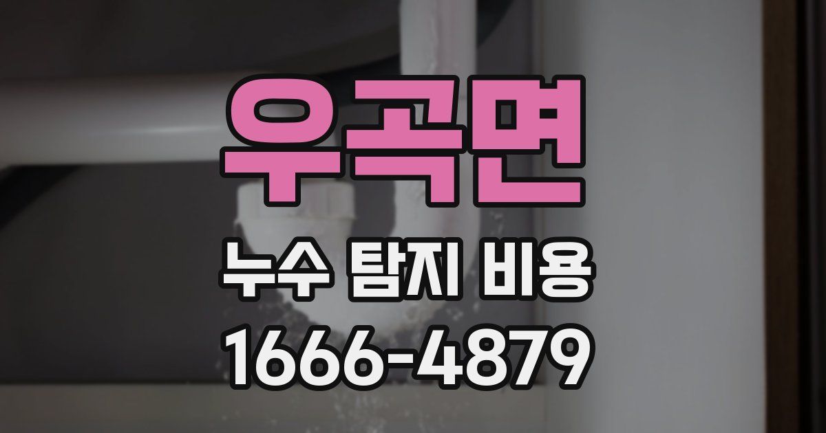 우곡면 누수 탐지 비용