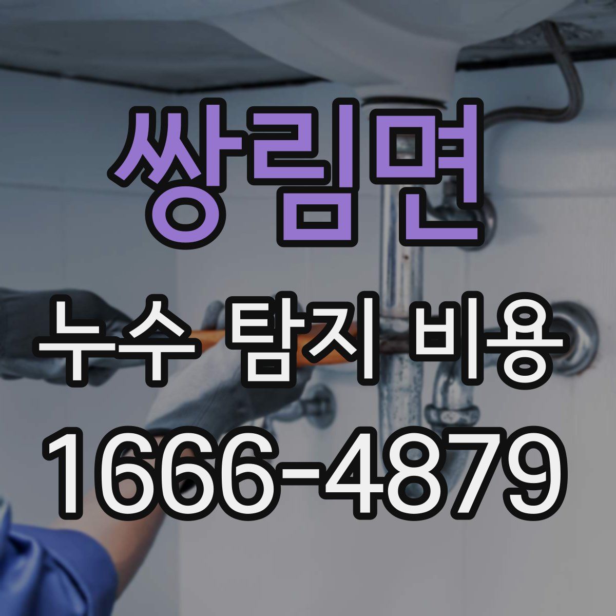 쌍림면 누수 탐지 비용