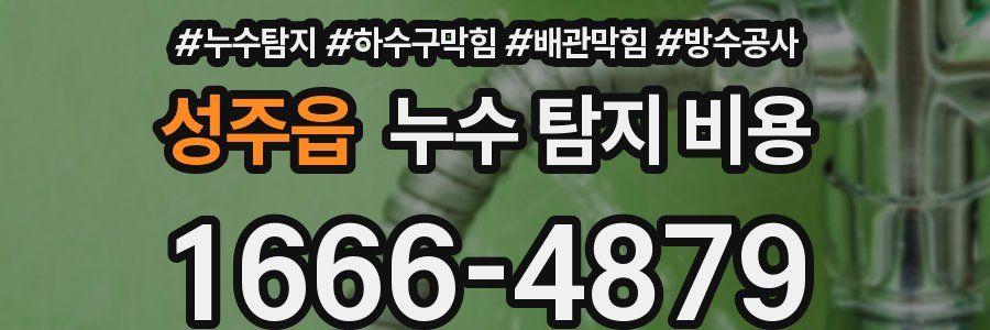 성주읍 누수 탐지 비용